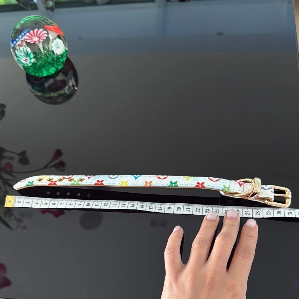 Cat collar 30 Cm